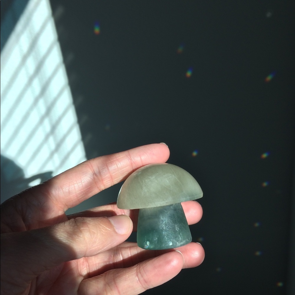 Fluorite Mushroom